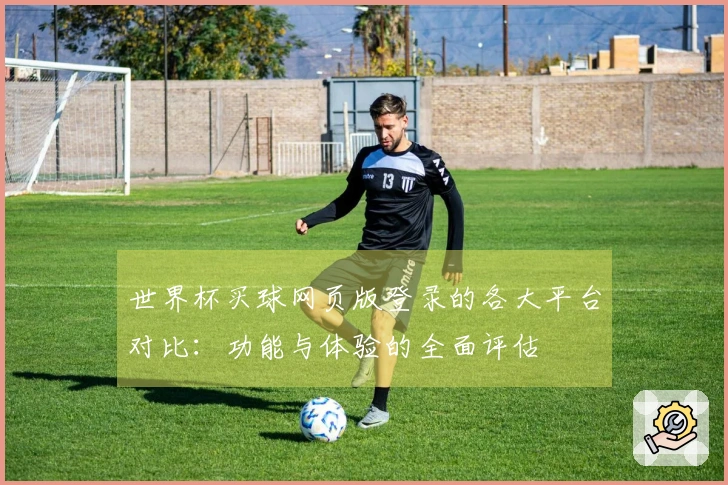 世界杯买球网页版登录的各大平台对比：功能与体验的全面评估