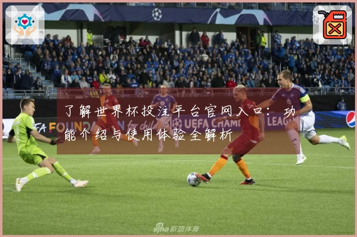 了解世界杯投注平台官网入口：功能介绍与使用体验全解析
