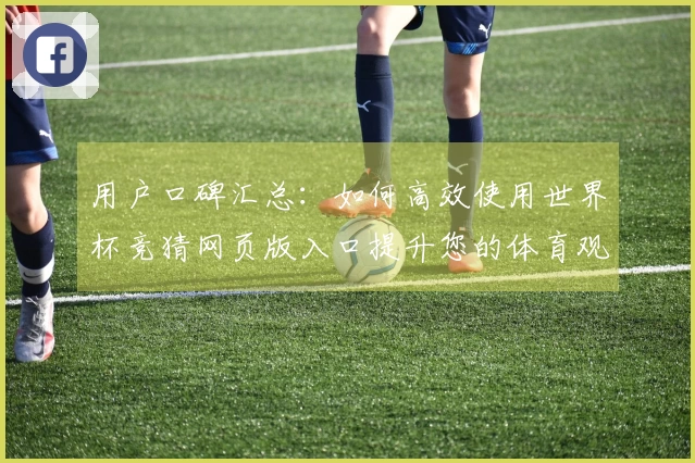 用户口碑汇总：如何高效使用世界杯竞猜网页版入口提升您的体育观赛体验