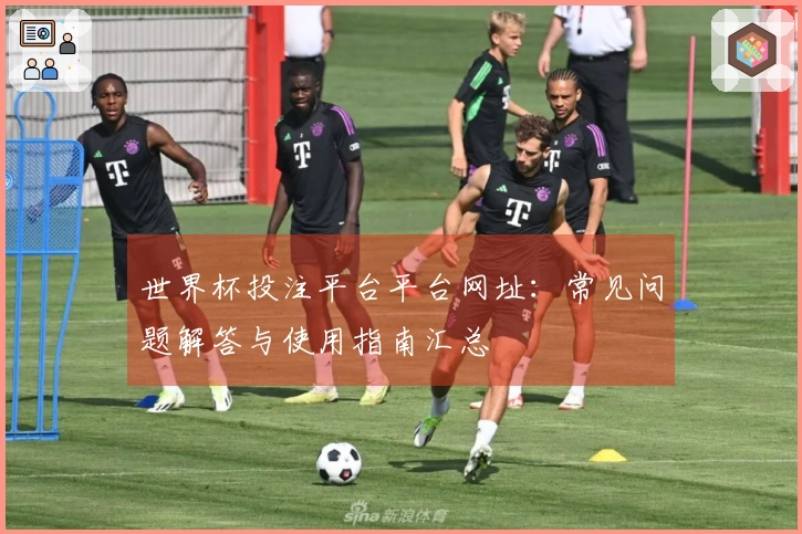 世界杯投注平台平台网址：常见问题解答与使用指南汇总