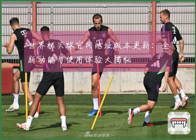 世界杯买球官网地址版本更新：全新功能与使用体验大揭秘