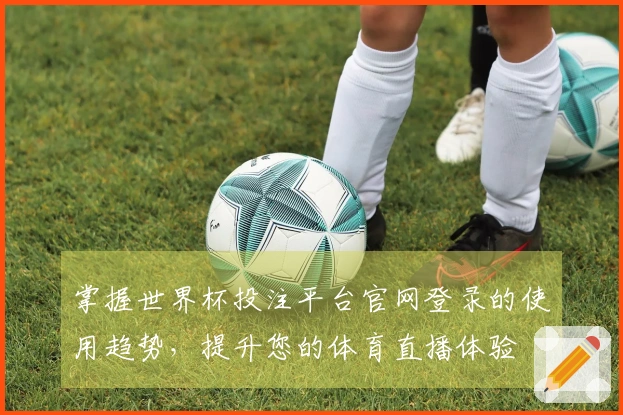 掌握世界杯投注平台官网登录的使用趋势，提升您的体育直播体验