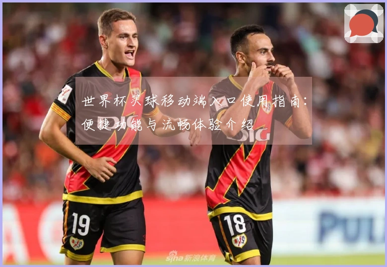 世界杯买球移动端入口使用指南：便捷功能与流畅体验介绍