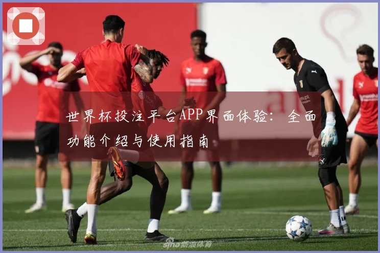 世界杯投注平台APP界面体验：全面功能介绍与使用指南