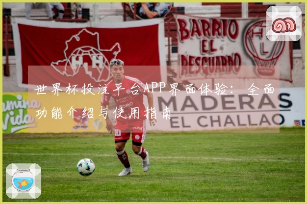 世界杯投注平台APP界面体验：全面功能介绍与使用指南