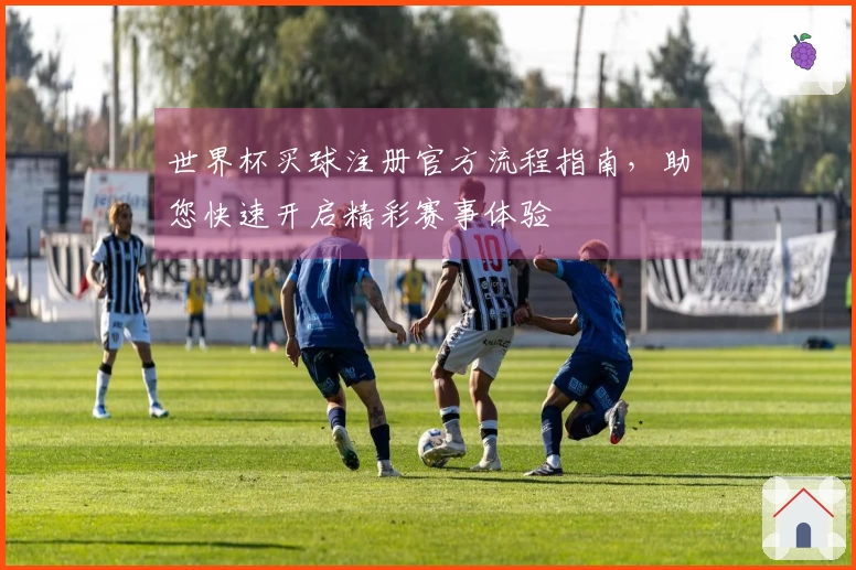 世界杯买球注册官方流程指南，助您快速开启精彩赛事体验