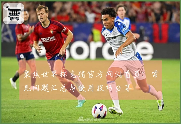 聚焦世界杯竞猜官方网站首页：常见问题汇总与使用技巧分享