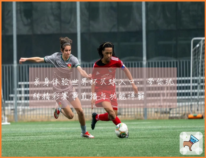 亲身体验世界杯买球入口,带你玩转精彩赛事直播与功能详解