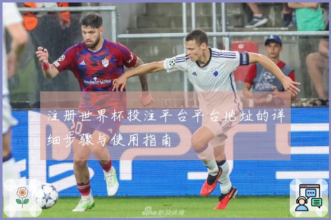 注册世界杯投注平台平台地址的详细步骤与使用指南