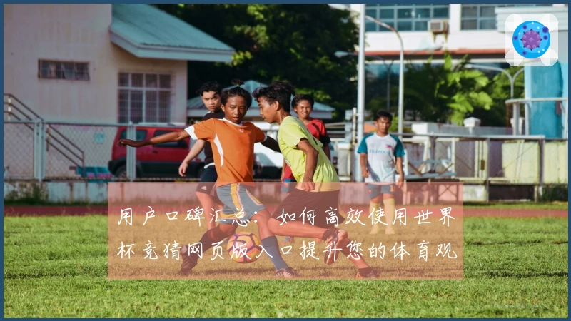 用户口碑汇总：如何高效使用世界杯竞猜网页版入口提升您的体育观赛体验
