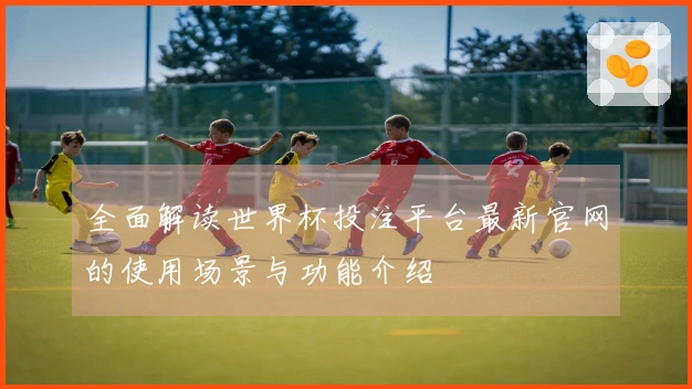 全面解读世界杯投注平台最新官网的使用场景与功能介绍