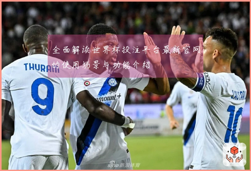 全面解读世界杯投注平台最新官网的使用场景与功能介绍
